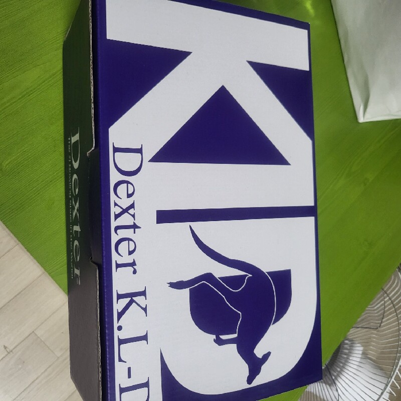 덱스터 신형 다이얼볼링화 255mm 판매합니다